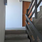 The Guest