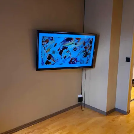 Апартаменты The Guest *